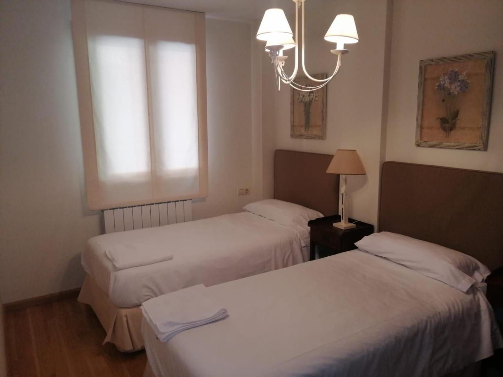 Apartamento Sarrato IV De Sallent サジェント・デ・ガジェゴ エクステリア 写真