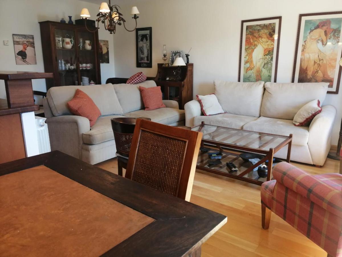 Apartamento Sarrato IV De Sallent サジェント・デ・ガジェゴ エクステリア 写真