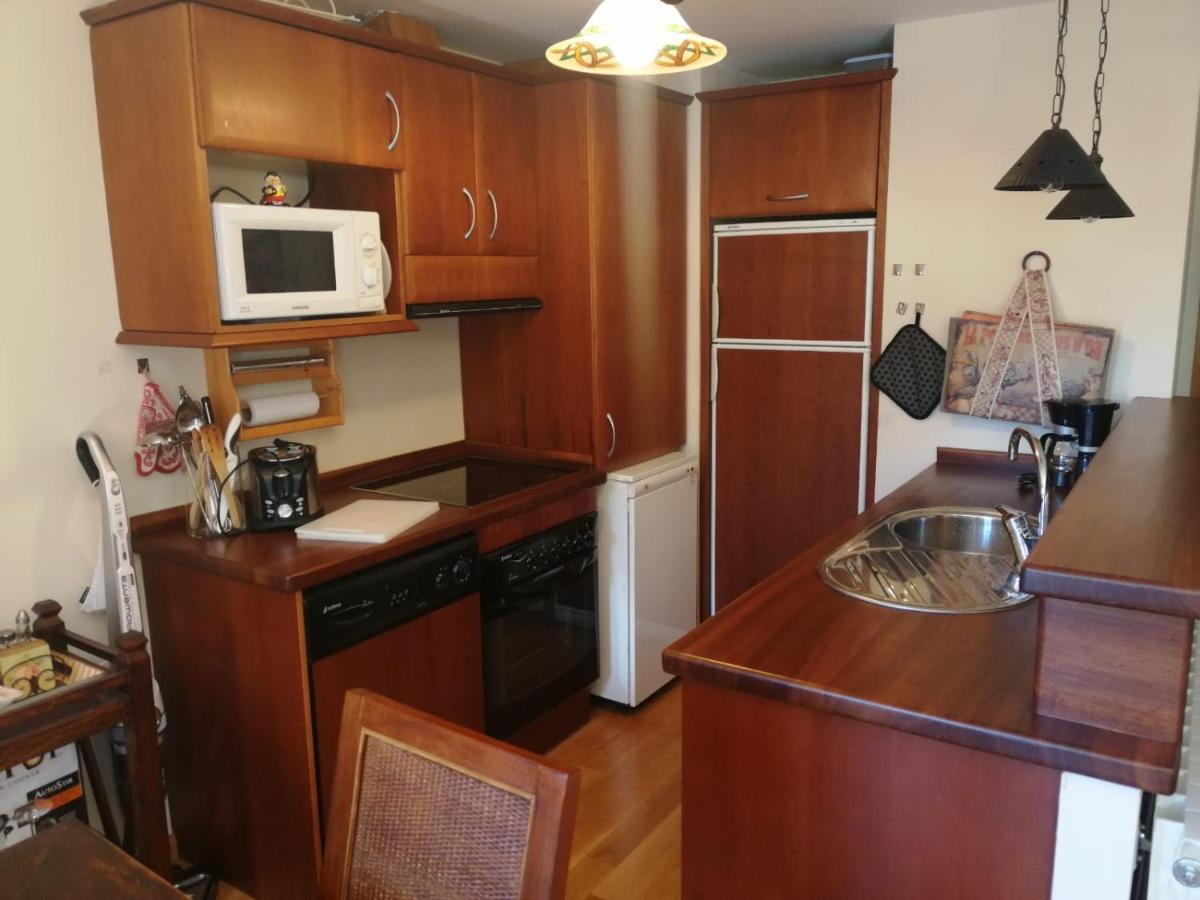 Apartamento Sarrato IV De Sallent サジェント・デ・ガジェゴ エクステリア 写真